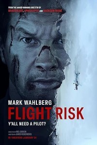 Flight Risk (2025) Hollywood Hindi Dubbed